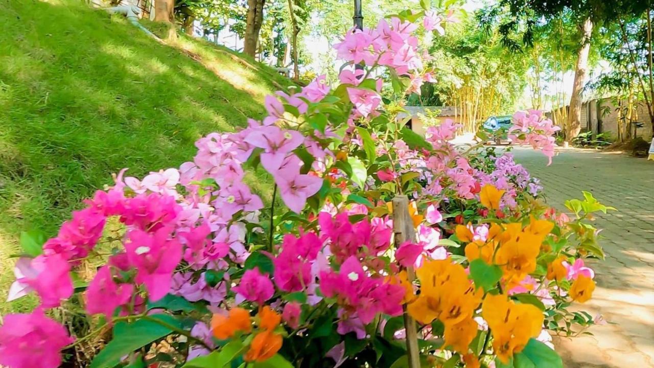 Bougainvillea Retreat & Spa Kaharpara Exterior photo